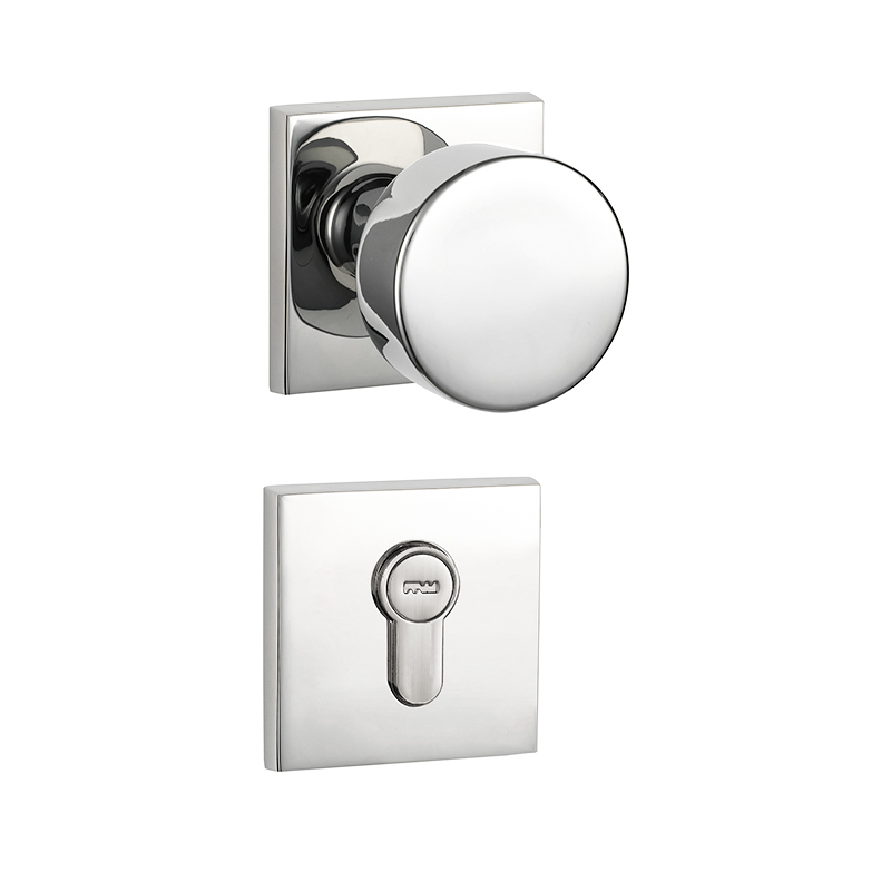 F6520 Euro Profile Mortise Lever Handle