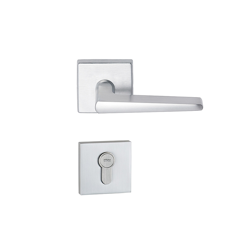 F6543 Euro Profile Mortise Lever Handle