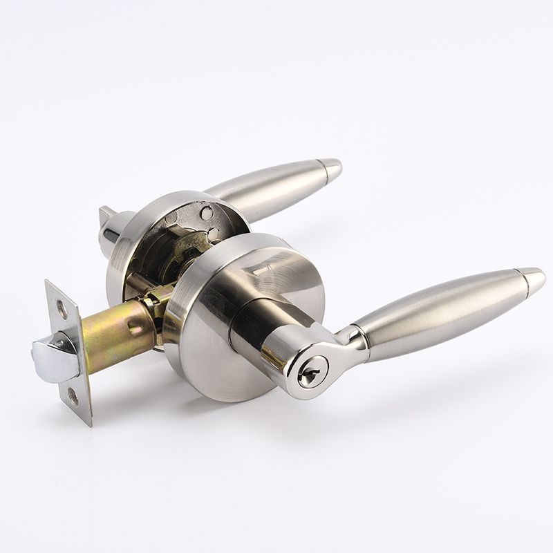 5504 Heavy Duty Tubular Lever Set