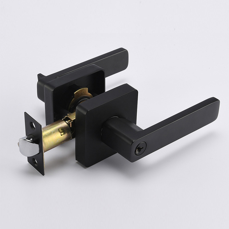 3433 Heavy Duty Tubular Lever Set